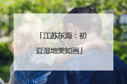 江苏东海：初夏湿地美如画