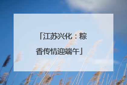 江苏兴化：粽香传情迎端午