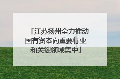 江苏扬州全力推动国有资本向重要行业和关键领域集中
