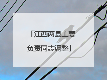 江西两县主要负责同志调整