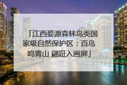 江西婺源森林鸟类国家级自然保护区：百鸟鸣青山 翩跹入画屏