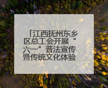 江西抚州东乡区总工会开展“六一”普法宣传暨传统文化体验活动