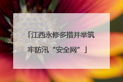江西永修多措并举筑牢防汛“安全网”