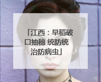 江西：早稻破口抽穗 统防统治防病虫