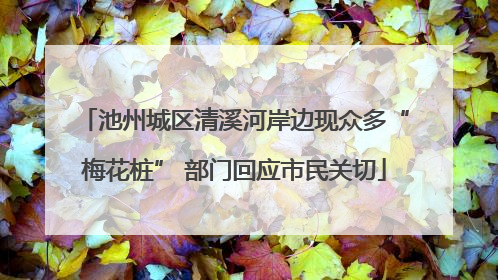 池州城区清溪河岸边现众多“梅花桩” 部门回应市民关切