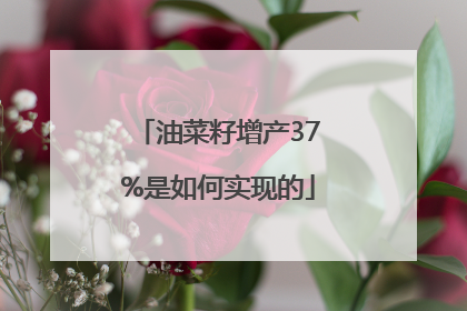 油菜籽增产37%是如何实现的