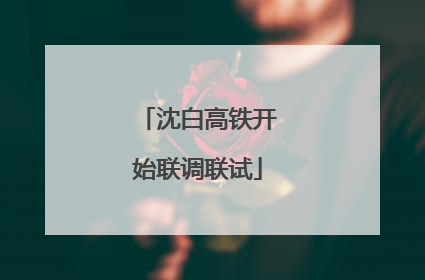 沈白高铁开始联调联试