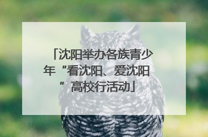 沈阳举办各族青少年“看沈阳、爱沈阳”高校行活动