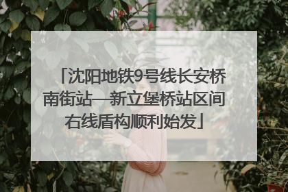 沈阳地铁9号线长安桥南街站—新立堡桥站区间右线盾构顺利始发