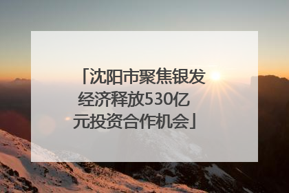 沈阳市聚焦银发经济释放530亿元投资合作机会