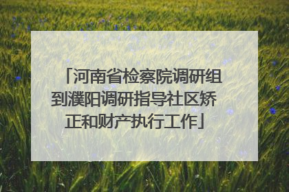 河南省检察院调研组到濮阳调研指导社区矫正和财产执行工作