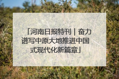 河南日报特刊｜奋力谱写中原大地推进中国式现代化新篇章