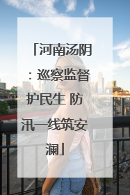 河南汤阴：巡察监督护民生 防汛一线筑安澜