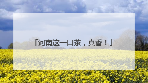 河南这一口茶，真香！