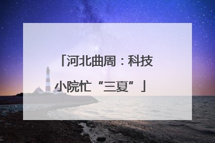 河北曲周：科技小院忙“三夏”