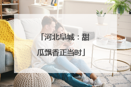 河北阜城：甜瓜飘香正当时