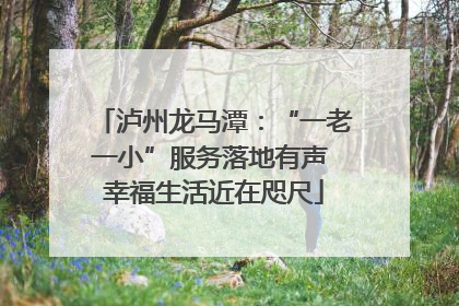 泸州龙马潭：“一老一小”服务落地有声 幸福生活近在咫尺