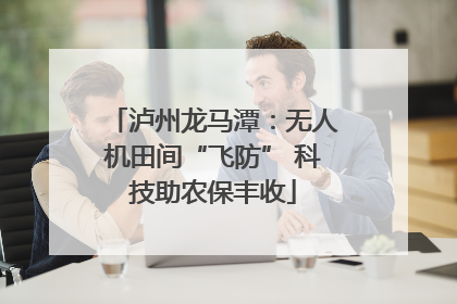 泸州龙马潭：无人机田间“飞防” 科技助农保丰收