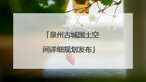 泉州古城国土空间详细规划发布