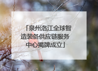 泉州洛江全球智造装备供应链服务中心揭牌成立