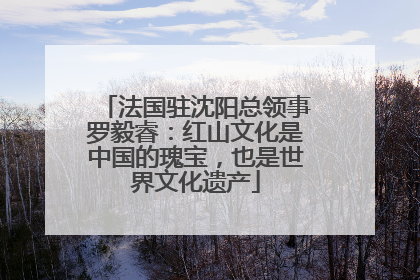法国驻沈阳总领事罗毅睿：红山文化是中国的瑰宝，也是世界文化遗产
