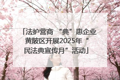 法护营商 “典”惠企业 黄陂区开展2025年“民法典宣传月”活动