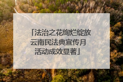 法治之花绚烂绽放 云南民法典宣传月活动成效显著