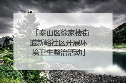 泰山区徐家楼街道新峪社区开展环境卫生整治活动
