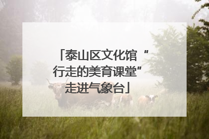 泰山区文化馆“行走的美育课堂”走进气象台