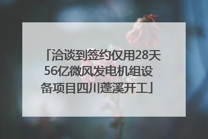 洽谈到签约仅用28天 56亿微风发电机组设备项目四川蓬溪开工