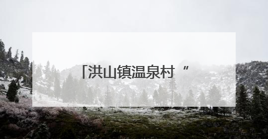 洪山镇温泉村“四轮驱动” 跑出乡风文明加速度