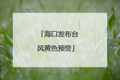 海口发布台风黄色预警