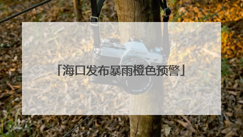 海口发布暴雨橙色预警