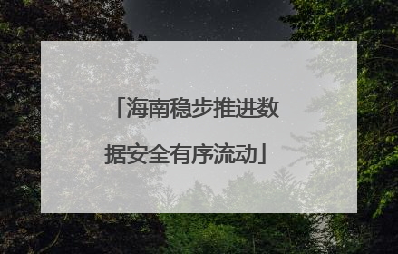海南稳步推进数据安全有序流动
