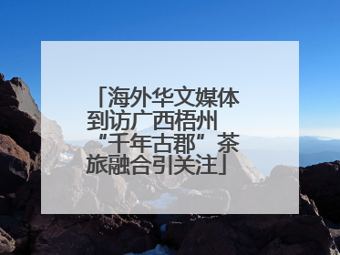 海外华文媒体到访广西梧州 “千年古郡”茶旅融合引关注