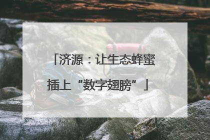济源：让生态蜂蜜插上“数字翅膀”