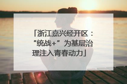 浙江嘉兴经开区：“统战+”为基层治理注入青春动力