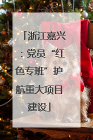 浙江嘉兴：党员“红色专班”护航重大项目建设