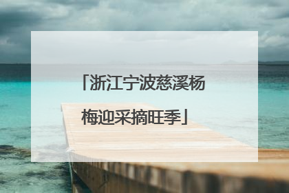 浙江宁波慈溪杨梅迎采摘旺季