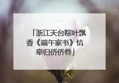 浙江天台粽叶飘香《端午家书》情牵归侨侨眷