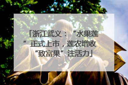 浙江武义：“水果莲”正式上市，莲农增收“致富果”注活力