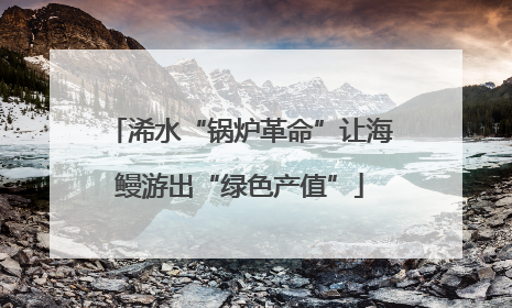 浠水“锅炉革命”让海鳗游出“绿色产值”