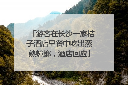 游客在长沙一家桔子酒店早餐中吃出蒸熟蟑螂，酒店回应