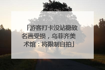 游客打卡没站稳致名画受损，乌菲齐美术馆：将限制自拍