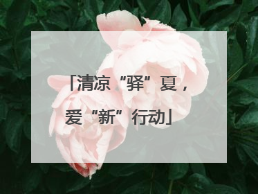 清凉“驿”夏，爱“新”行动