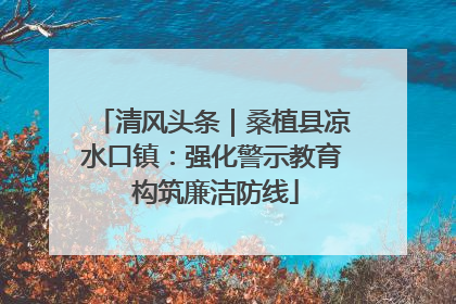 清风头条｜桑植县凉水口镇：强化警示教育 构筑廉洁防线