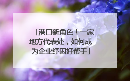 港口新角色！一家地方代表处，如何成为企业纾困好帮手