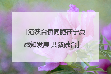 港澳台侨同胞在宁夏感知发展 共叙融合