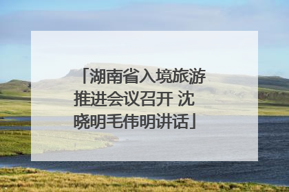 湖南省入境旅游推进会议召开 沈晓明毛伟明讲话