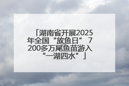 湖南省开展2025年全国“放鱼日” 7200多万尾鱼苗游入“一湖四水”